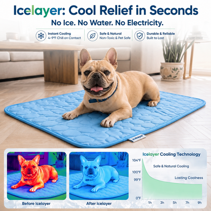 IceLayer Pets™ – 2.0 Cooling Mat for Hot Days